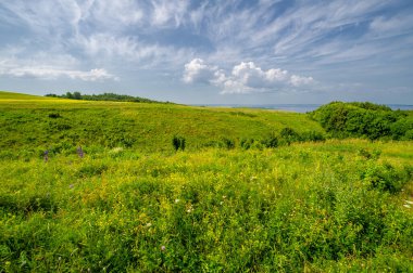 Gün ışığında güzel manzaranın manzarası