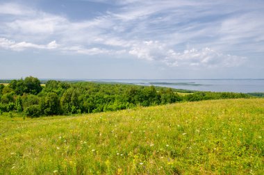 Gün ışığında güzel manzaranın manzarası