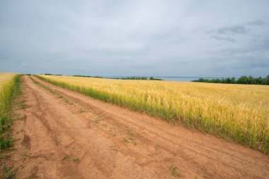 Gün ışığında açık hava manzarası