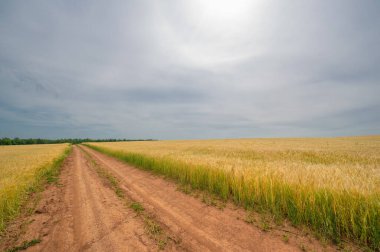 Gün ışığında açık hava manzarası