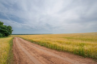 Gün ışığında açık hava manzarası