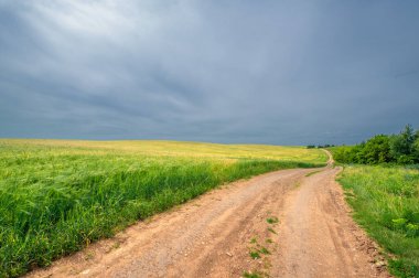 Gün ışığında güzel manzaranın manzarası
