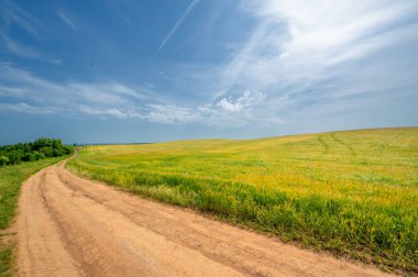 Gün ışığında güzel manzaranın manzarası