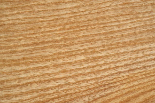 Solid Oak Ash Varnished Varnished Oak Ash Boards Beautiful Lacquered — Stock Photo, Image