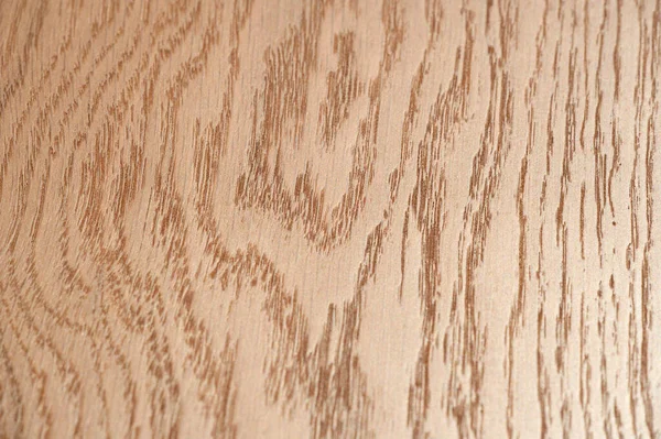 Rovere Massello Frassino Verniciato Verniciato Tavole Quercia Frassino Bellissimi Pannelli — Foto Stock