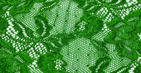 Encaje Verde Encaje Elástico Jacquard Textil Moda Artículo Decorativo Para — Foto de Stock