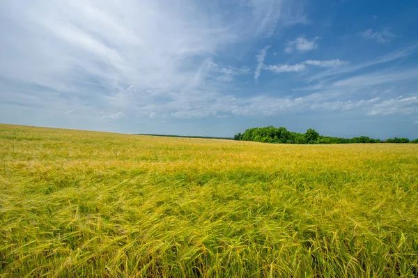 Pittoresk Uitzicht Buitenscène Bij Daglicht — Stockfoto