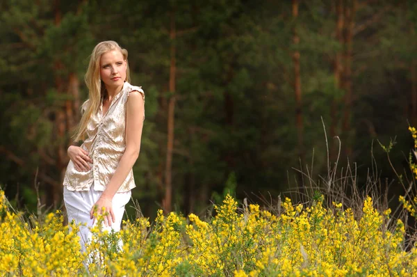 Foto Verano Modelo Chica Bosque Pinos Vestida Con Vestido Blanco —  Fotos de Stock