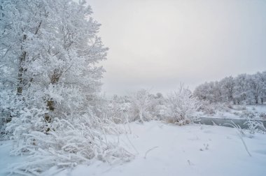Güzel kış manzarası, karlı manzara