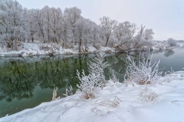 Güzel kış manzarası, karlı manzara
