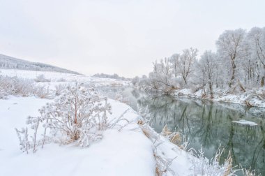 Güzel kış manzarası, karlı manzara