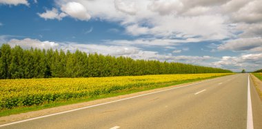 Gün ışığında güzel manzaranın resimsel görüntüsü