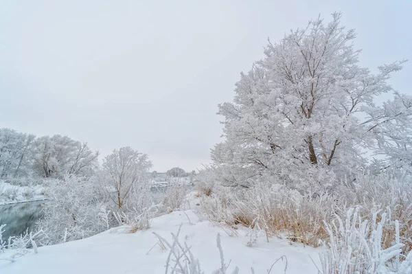 Schöne Winterlandschaft Verschneite Landschaft — Stockfoto