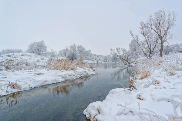 Bela Paisagem Inverno Cena Nevada — Fotografia de Stock