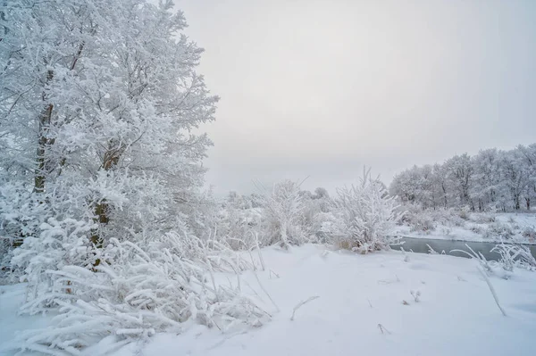 Beautiful Winter Landscape Snowy Scene — Stock Photo, Image