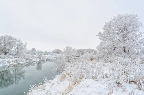 Bela Paisagem Inverno Cena Nevada — Fotografia de Stock