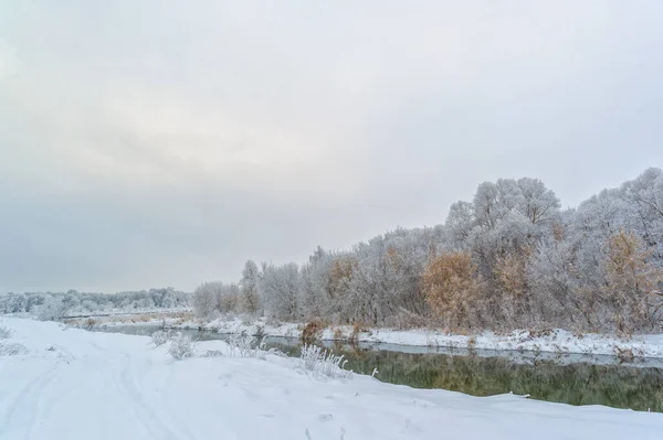 Schöne Winterlandschaft Verschneite Landschaft — Stockfoto
