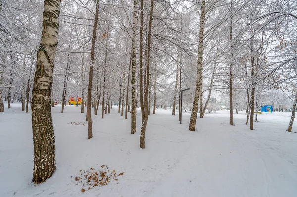 Schnee Ruft Reaktionen Hervor Die Bis Die Kindheit Zurückreichen Die — Stockfoto