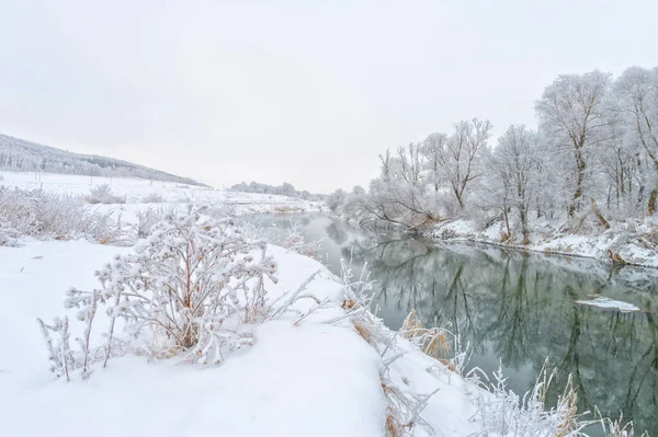Beautiful Winter Landscape Snowy Scene — Stock Photo, Image