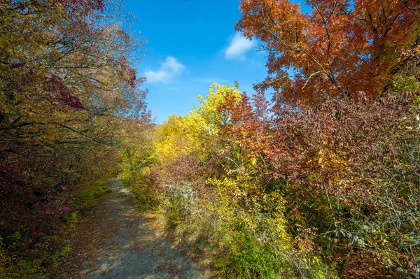 Herfst Foto Van Krim Schiereiland Oude Snelweg Charme Van Sfeer — Stockfoto