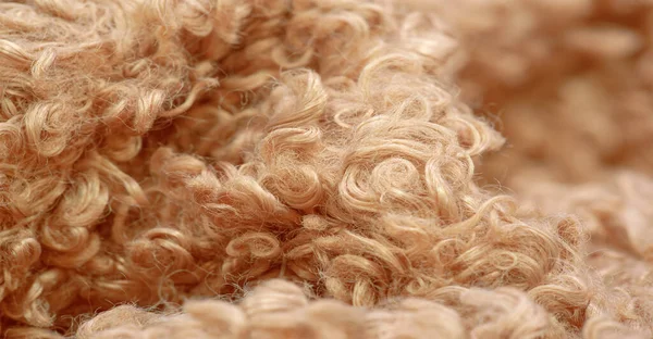 Kumaş Dokusu Dijital Tekstil Duvar Kağıdı — Stok fotoğraf