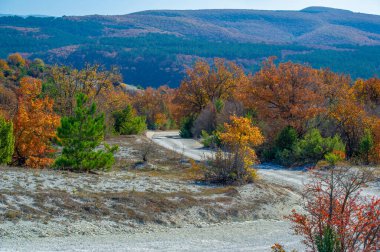 güpegündüz sonbahar manzarasının resimsel görüntüsü