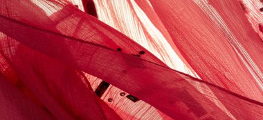 Arkaplan tasarımı dokusu, ipek desen, pembe kumaş ve dekoratif işlemeli taşlar.