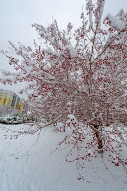 Kar, çocukluğuna kadar uzanan tepkilere neden olur. Bir kar tanesinin güzelliğini takdir etmek için, soğukta göze çarpman gerekir..