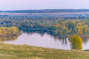 Gün ışığında güzel yaz manzarası