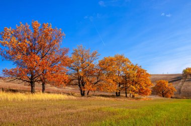 güpegündüz sonbahar manzarasının resimsel görüntüsü