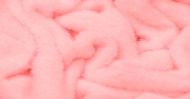Kadife. Pelüş. Soluk Kırmızı. (Fransız peluche) - kısa bir yığın veya şekerleme ile tekstil, aynı fustian veya kadife gibi. Beyaz hayvan kürkü dokusu, pofuduk kürk dokusu..