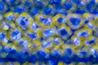 Bokeh efektli arka plan. Parlak ışık efektleri, bulanık fotoğraf yüzeyi, ışıl ışıl bir arka plan. Soyut Sihirli Fotoğrafçılık