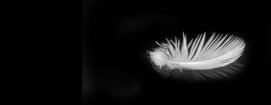 Kuş tüyü. Bazen üst düzey yatak olarak kullanılır, özellikle yastıklar, battaniyeler ve şilteler. Ayrıca kışlık giysiler ve açık hava yatakları için de kullanılır..