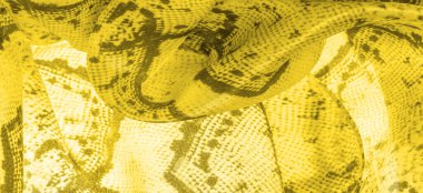 Arkaplan, doku, desen, sarı kareli sarı kumaş, çizgiler.,