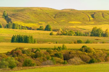 Gün ışığında güzel yaz manzarası