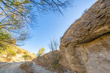 Gün ışığında güzel manzaranın resimsel görüntüsü