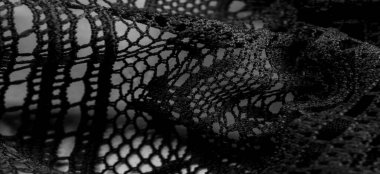 Siyah dantel kumaş, seksi retro gecelik kumaşı. Klasik iç çamaşırı süsü. arkaplan dokusu, desen.