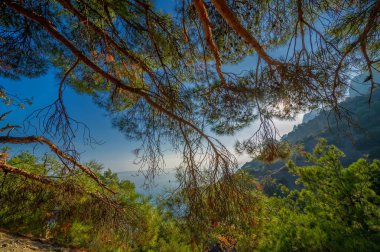 Gün ışığında güzel manzaranın resimsel görüntüsü