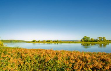 Gün ışığında güzel yaz manzarası