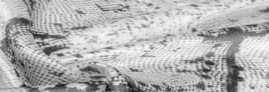 Yılan derisi desenli gri monokrom kumaş, parlak gri kumaşın arka plan dokusu. arkaplan, doku, desen