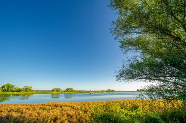 Gün ışığında güzel yaz manzarası