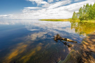 Gün ışığında güzel yaz manzarası