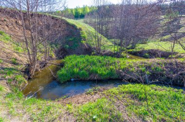 Yeşil bahar manzarası, gündüz manzarası.
