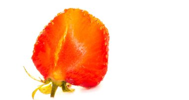 Güzel botanik fotoğrafı, dut duvar kağıdı.