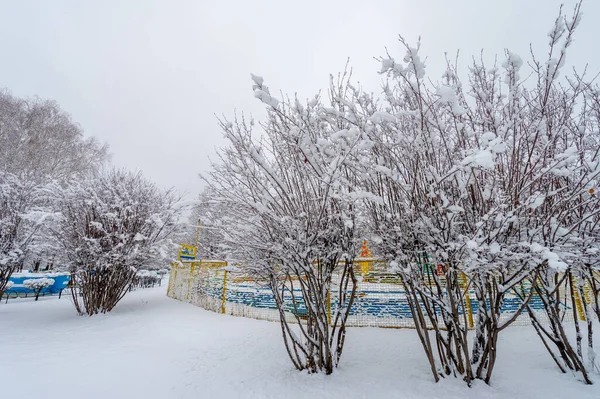 雪が降ると シャベルや彫刻雪天使の2つの選択肢があります 雪の結晶は自然界で最も壊れやすいものの一つですが 一緒に固執すると何ができるか見てください — ストック写真