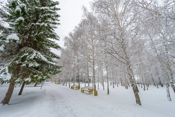 Wenn Schneit Hat Man Zwei Möglichkeiten Schneeengel Schaufeln Oder Form — Stockfoto