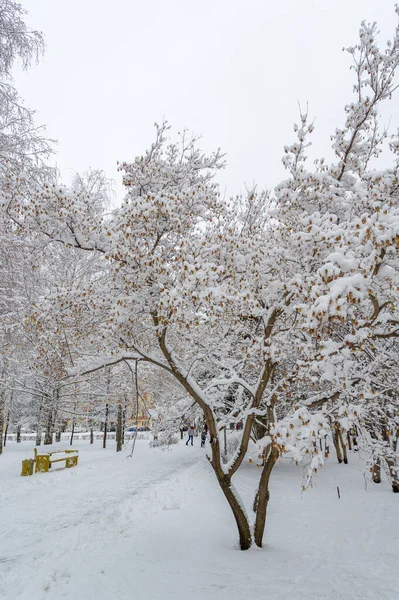 Als Het Sneeuwt Heb Twee Keuzes Schop Beeldhouwwerk Sneeuwengelen Sneeuwvlokken — Stockfoto