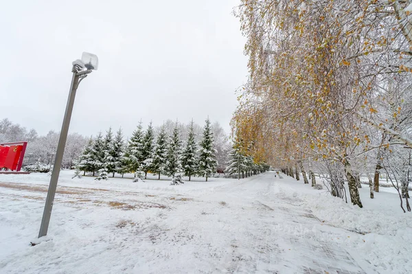 Kar Yağdığında Iki Seçeneğiniz Vardır Kürek Kar Melekleri Kar Taneleri — Stok fotoğraf