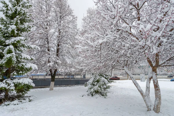 Sneeuw Roept Reacties Uit Kindertijd Schoonheid Van Een Sneeuwvlok Waarderen — Stockfoto