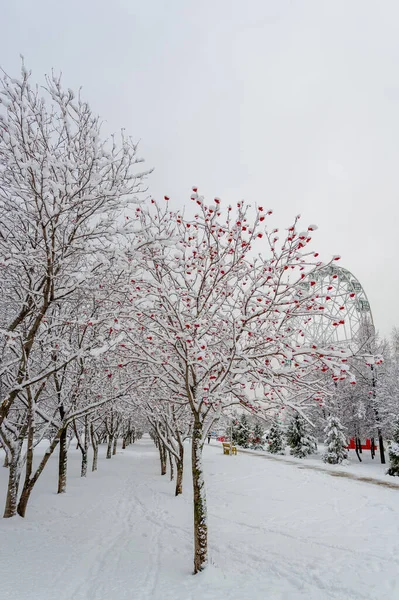 Sníh Evokuje Odpovědi Dětství Chcete Ocenit Krásu Sněhové Vločky Musíte — Stock fotografie